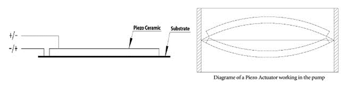 Disc Actuators