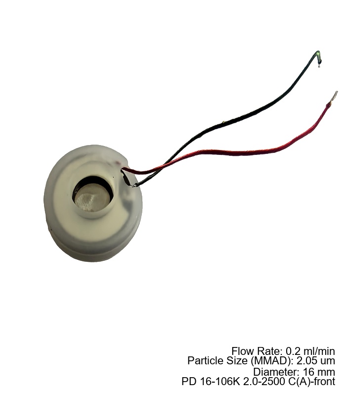 16mm Mesh Atomizer(Si)·FD·2µm×2500