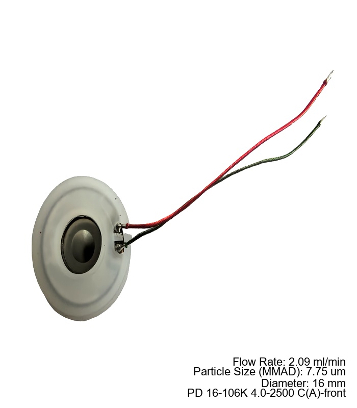 16mm Mesh Atomizer(Si)·FD·4µm×2500